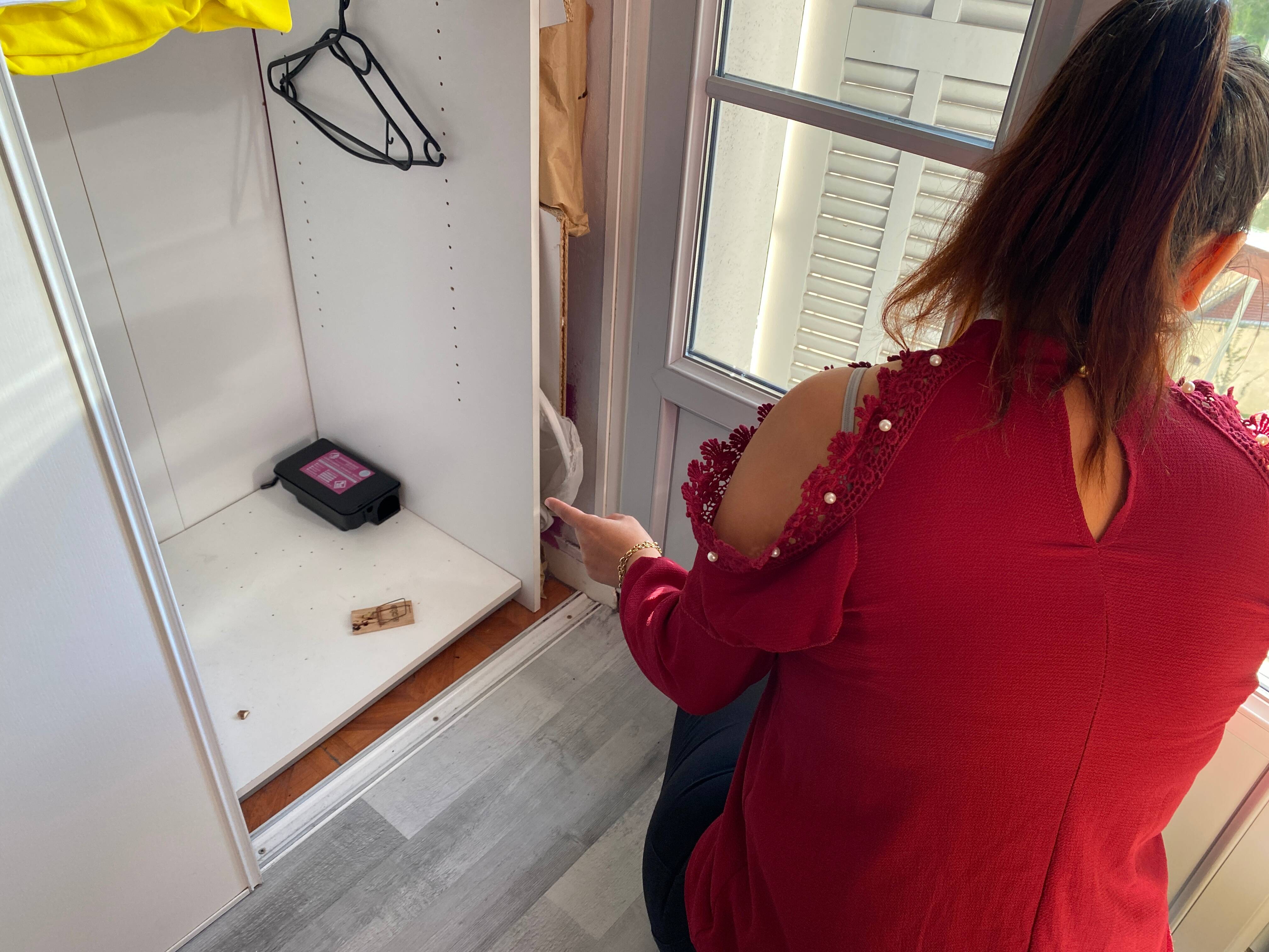 "J'ai senti quelque chose sur moi, j'ai hurlé..." Son logement HLM est envahi de souris à Nice, une famille lance un SOS