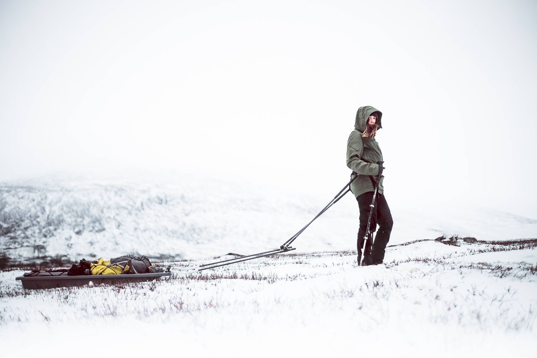 Passionnée de photographie, cette Varoise se lance dans une incroyable aventure au pôle Nord