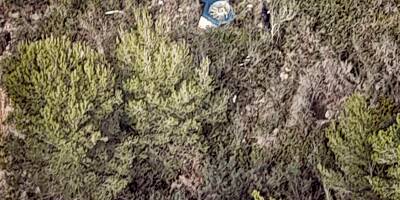 Crash d'un hélicoptère entre Eze et Villefranche: les enquêteurs à pied d'oeuvre