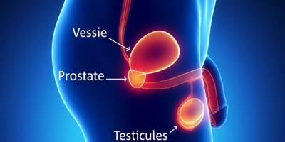 Cancer de la prostate: l'importance de se faire dépister