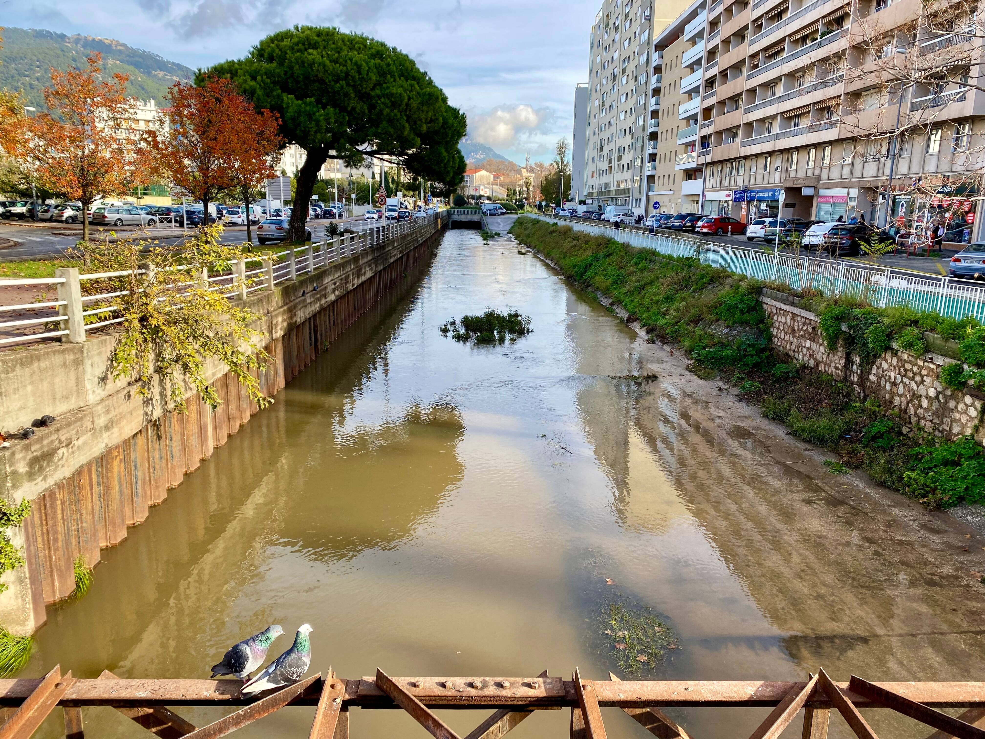 Des travaux prévus pour dompter la rivière des Amoureux à Toulon VarMatin Des travaux prévus pour dompter la rivière des Amoureux à Toulon VarMatin