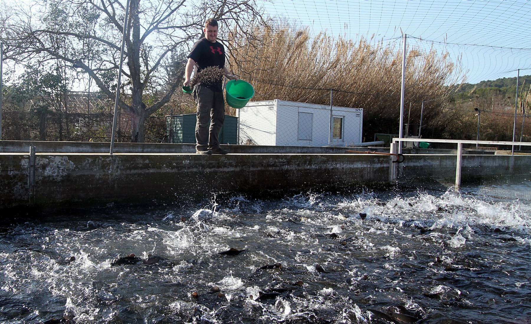 Le maire de Rougiers pas optimiste sur le projet de pisciculture porté par un couple de réfugiés politiques russes