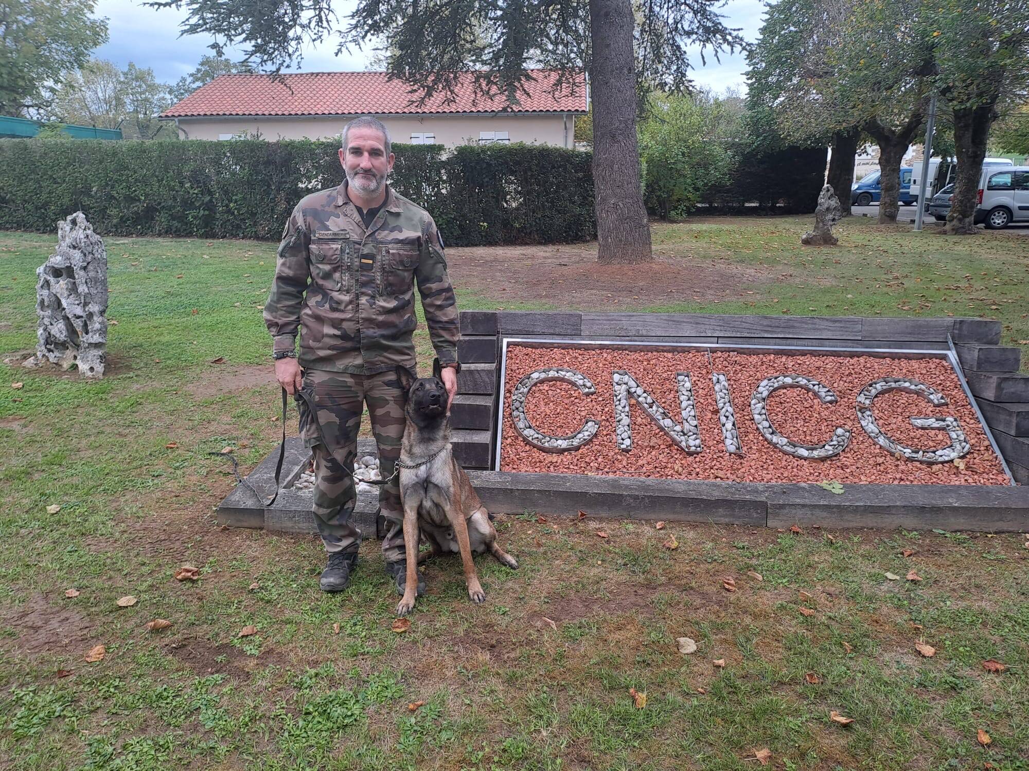 The beautiful story of a young Malinois who arrived in a shelter in Toulon and enrolled in the gendarmerie