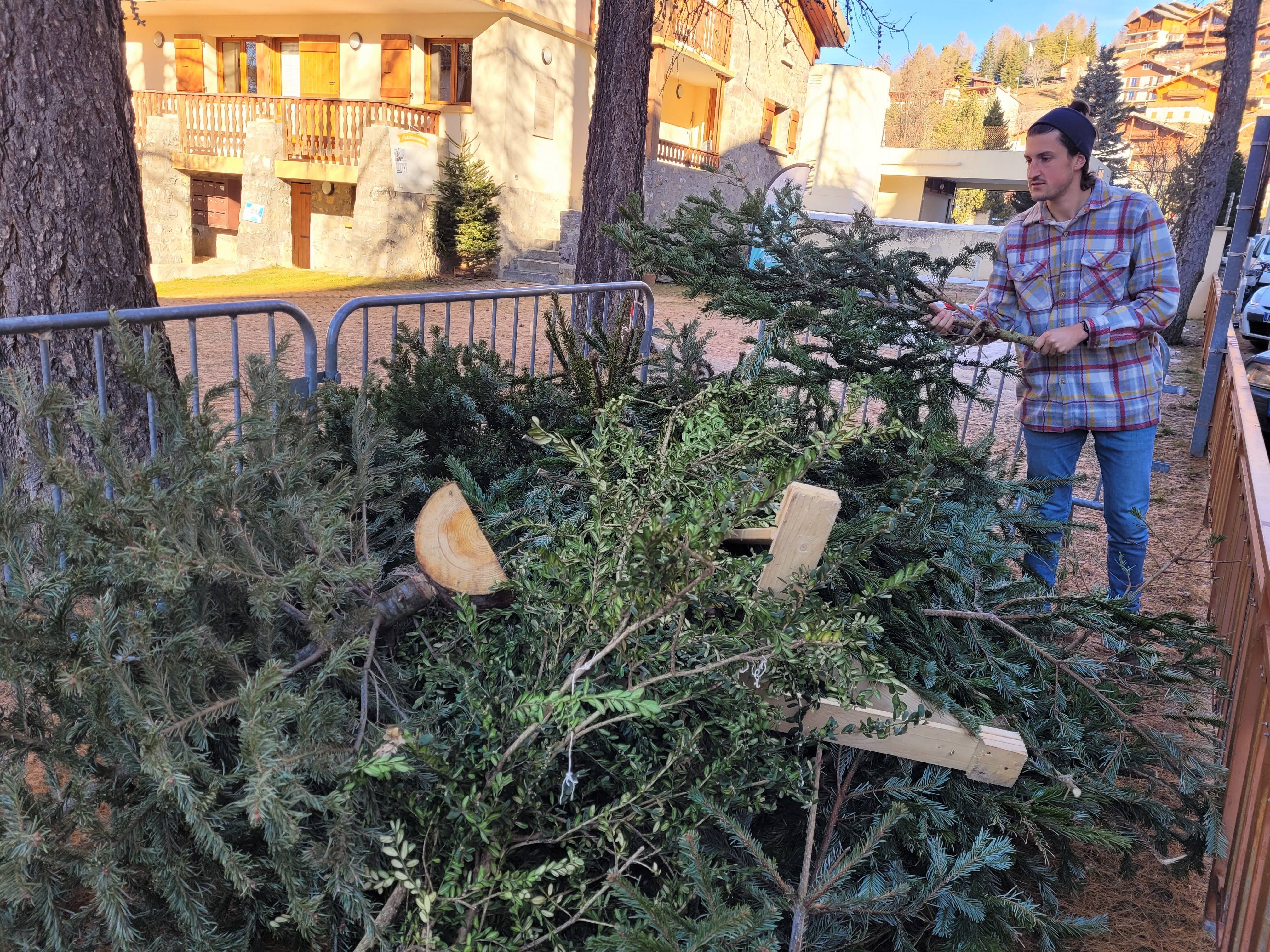 Pour la première fois, les habitants des Alpes d'Azur peuvent recycler leur sapin de Noël