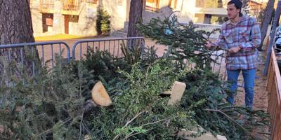 Pour la première fois, les habitants des Alpes d'Azur peuvent recycler leur sapin de Noël