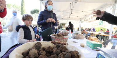 Dégustations, vente, démonstration de chiens truffiers... Le 27e Marché de la truffe organisé à Grasse ce samedi