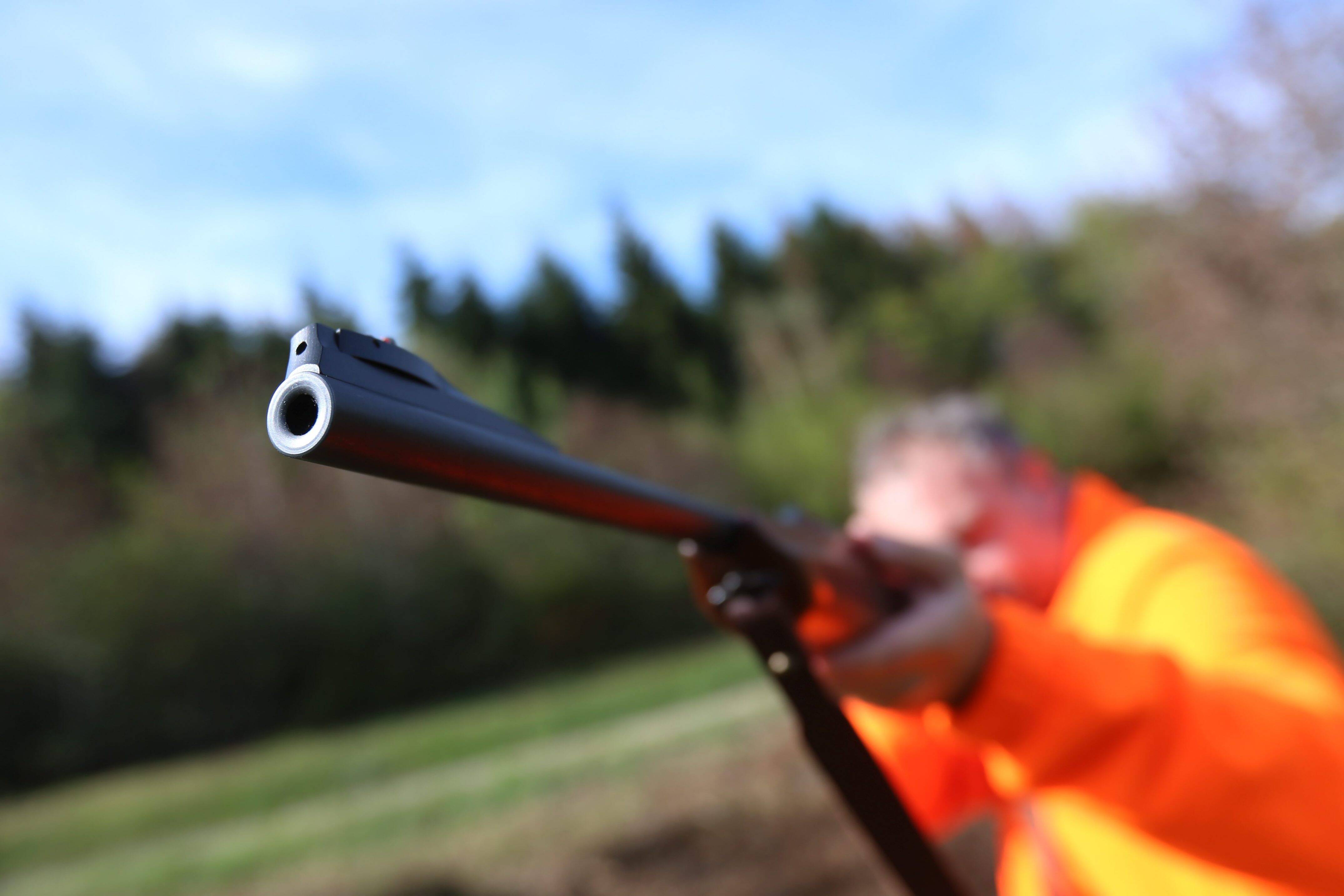 Elle se retrouve nez à nez avec un chasseur en ouvrant sa fenêtre, cette habitante de Breil-sur-Roya raconte