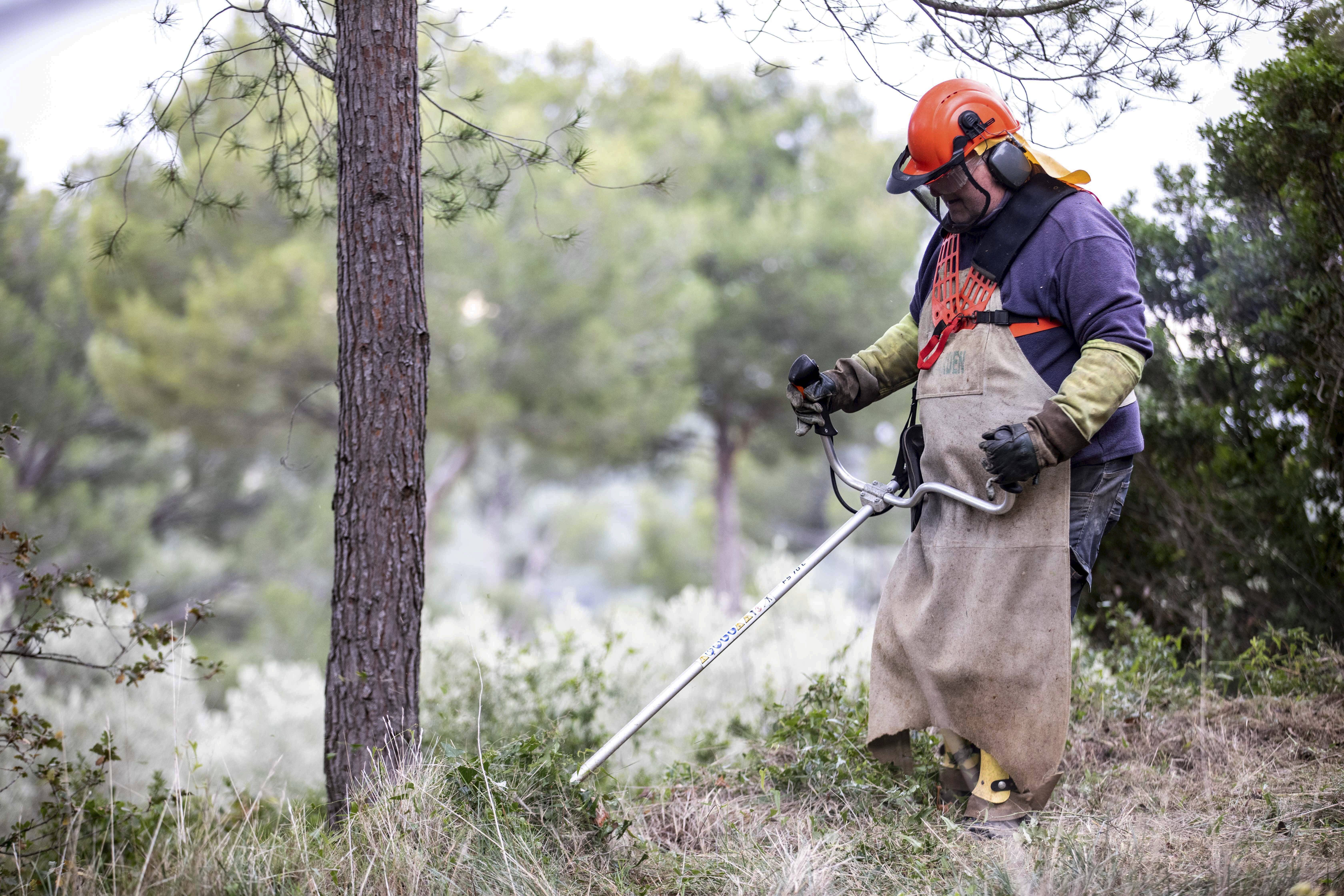 Feux de forêt: plus d'interventions des pompiers si les obligations de débroussaillage ne sont pas respectées