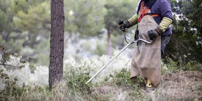 Feux de forêt: plus d'interventions des pompiers si les obligations de débroussaillage ne sont pas respectées