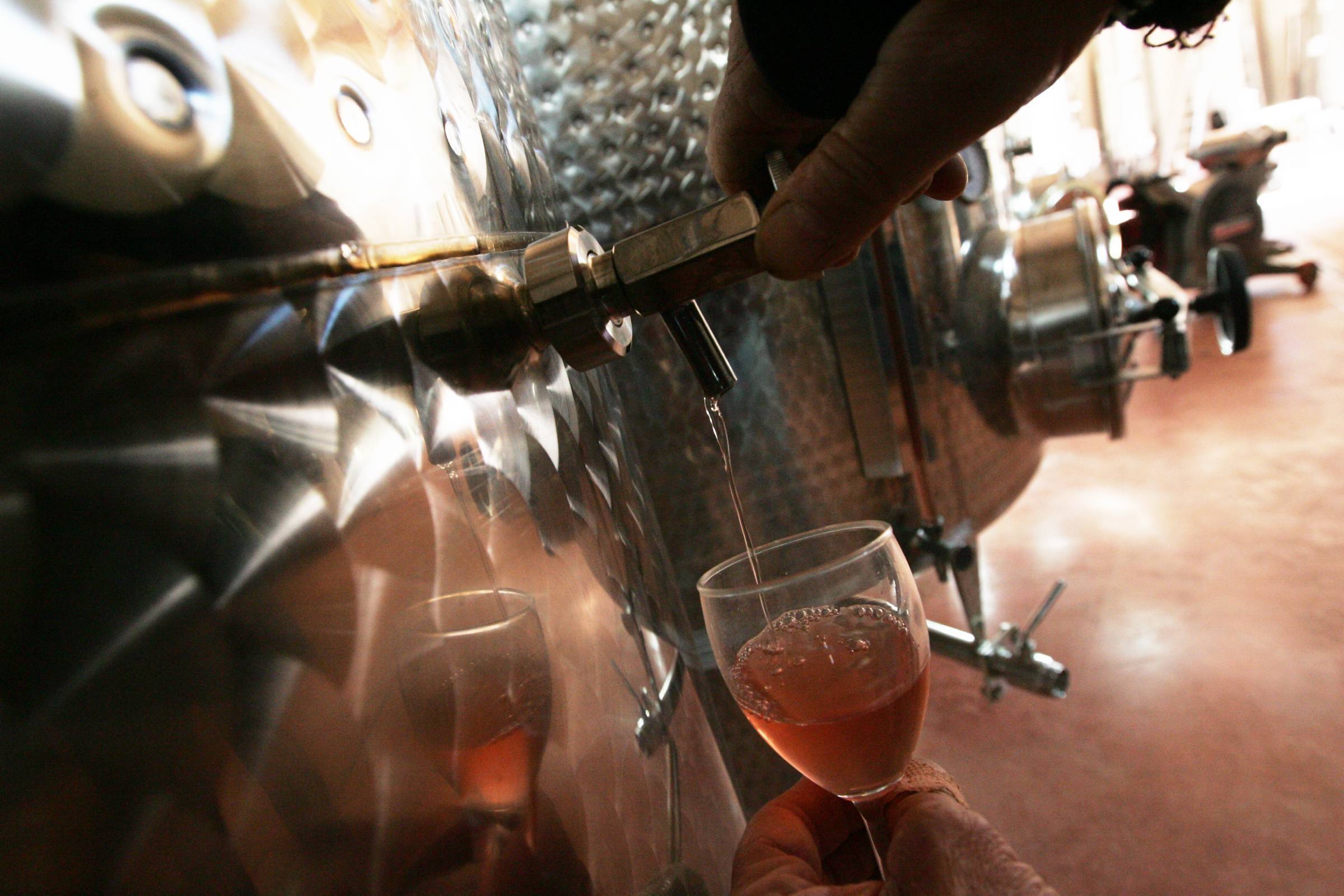 "Le vignoble a plutôt bien résisté à la sécheresse": le millésime 2022 des vignerons de Provence s'est adapté au changement climatique