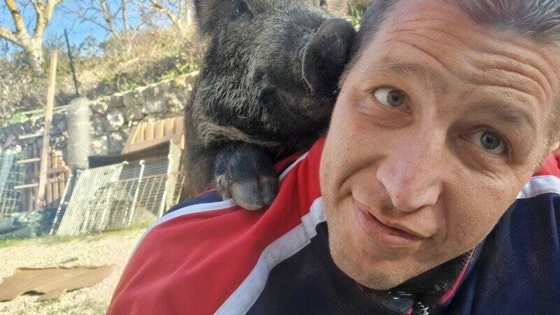 Il dénonce l'abattage au fusil d'un marcassin apprivoisé par tout un quartier dans le Var