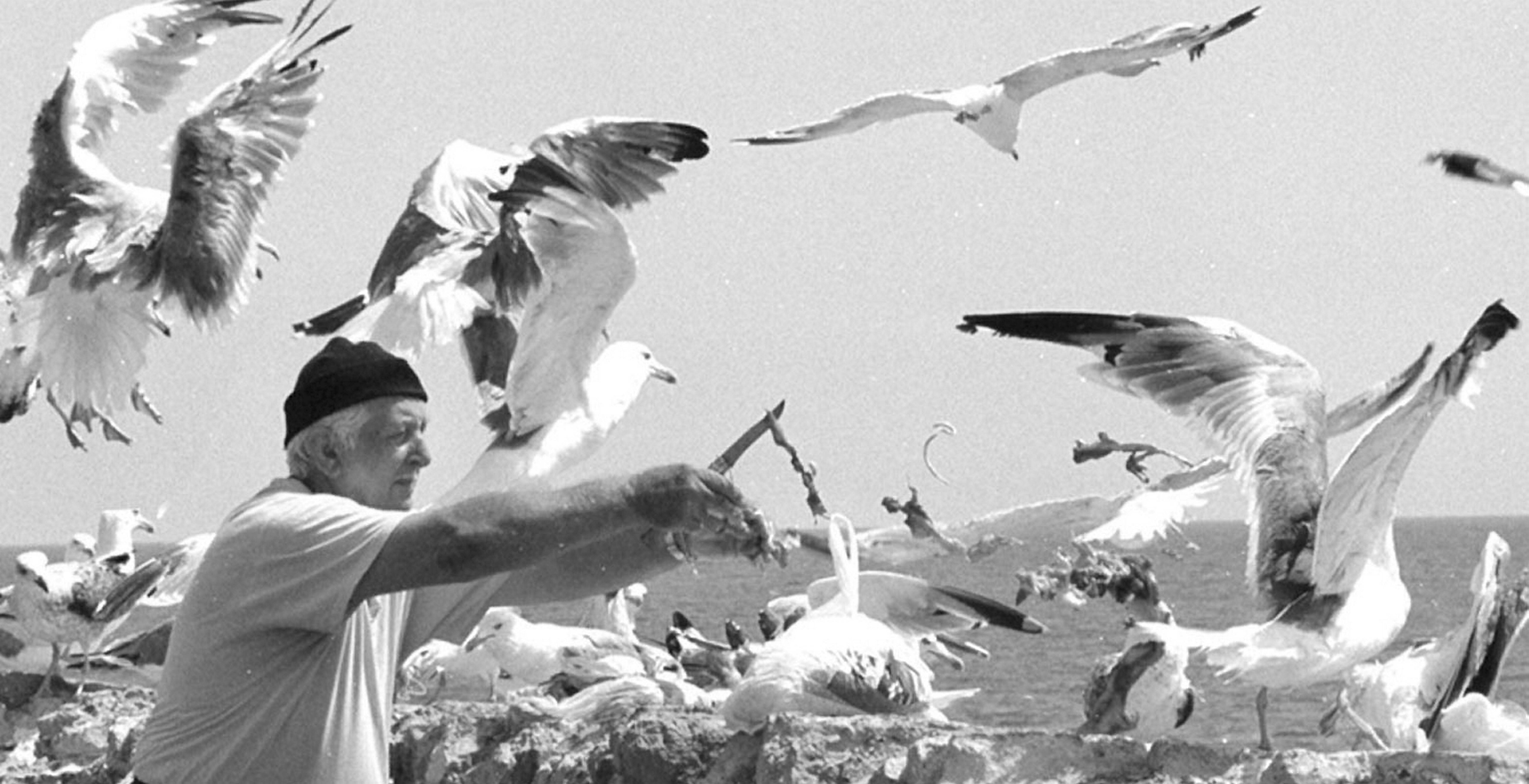 "Bébert le goéland" défendait les gabians à Antibes, l'un des volatiles a pris sa plus belle plume pour lui rendre hommage