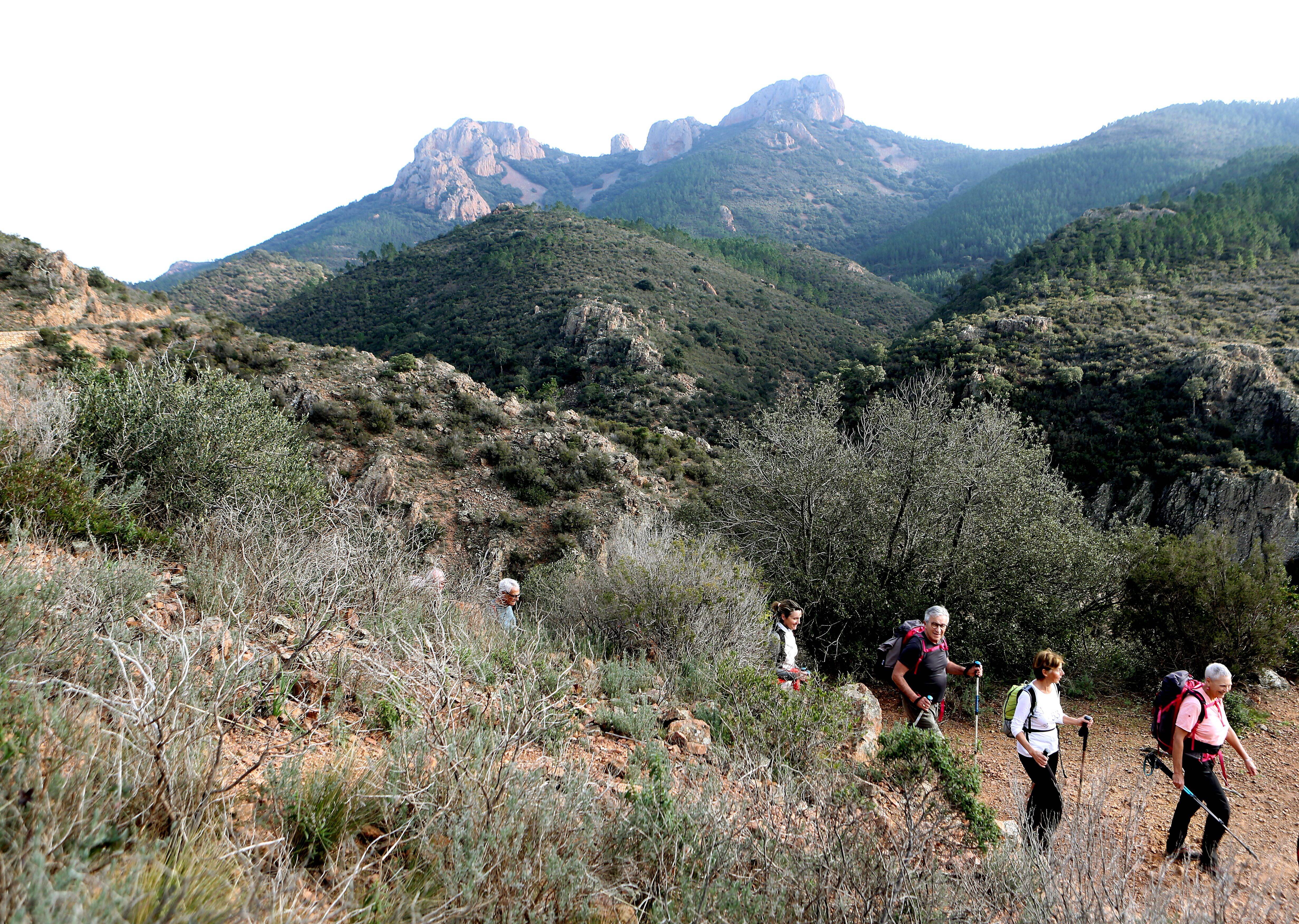 Un nouveau parc naturel régional pourrait voir le jour dans le Var