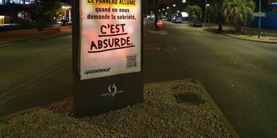 À Villeneuve-Loubet, Greenpeace s'en prend à des enseignes lumineuses pour dénoncer 