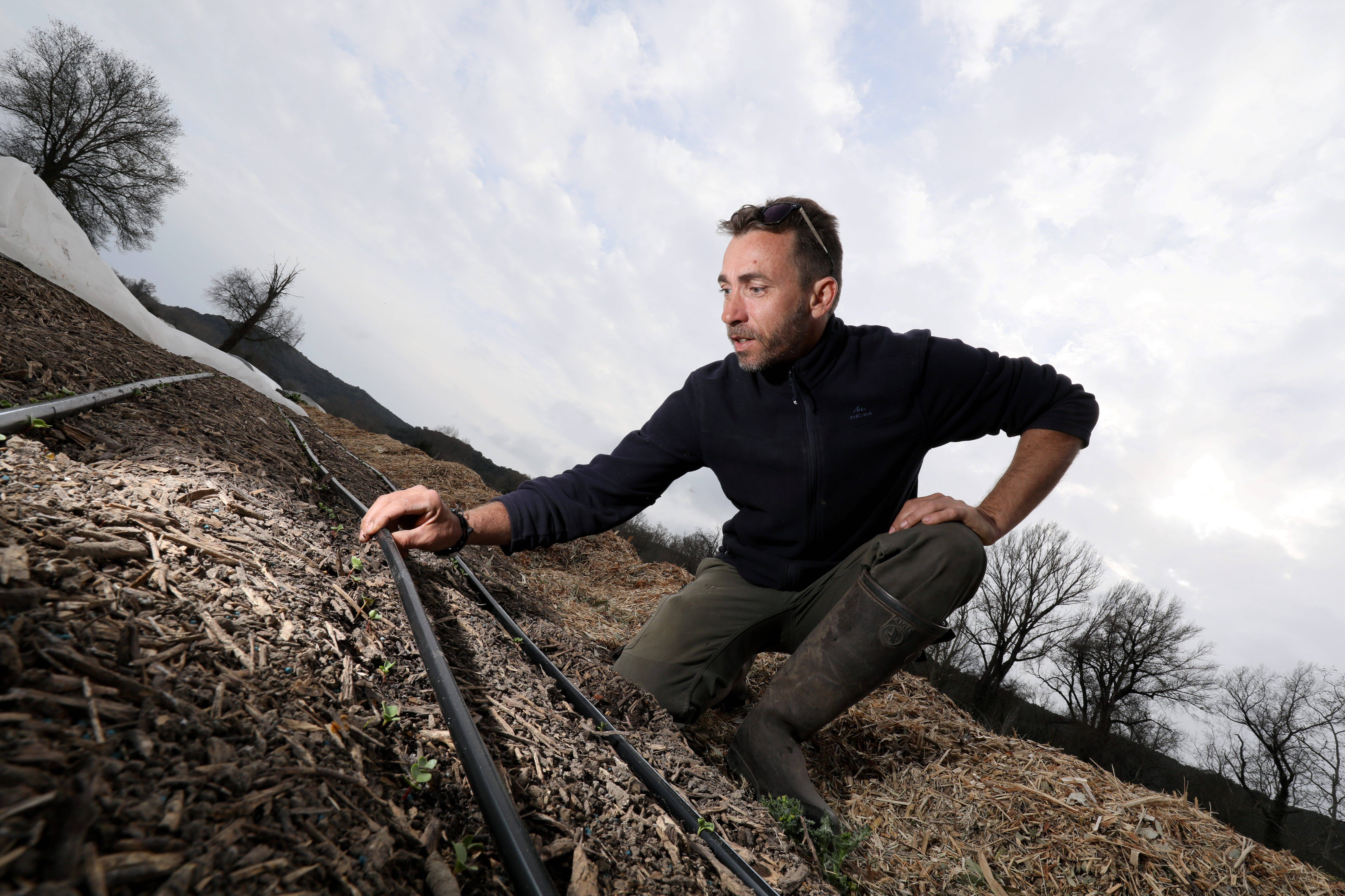 "Nous arrosons deux fois moins qu'une production bio de la même taille et ça marche": en prenant soin de sa terre, ce maraîcher de Villeneuve-Loubet relève le défi