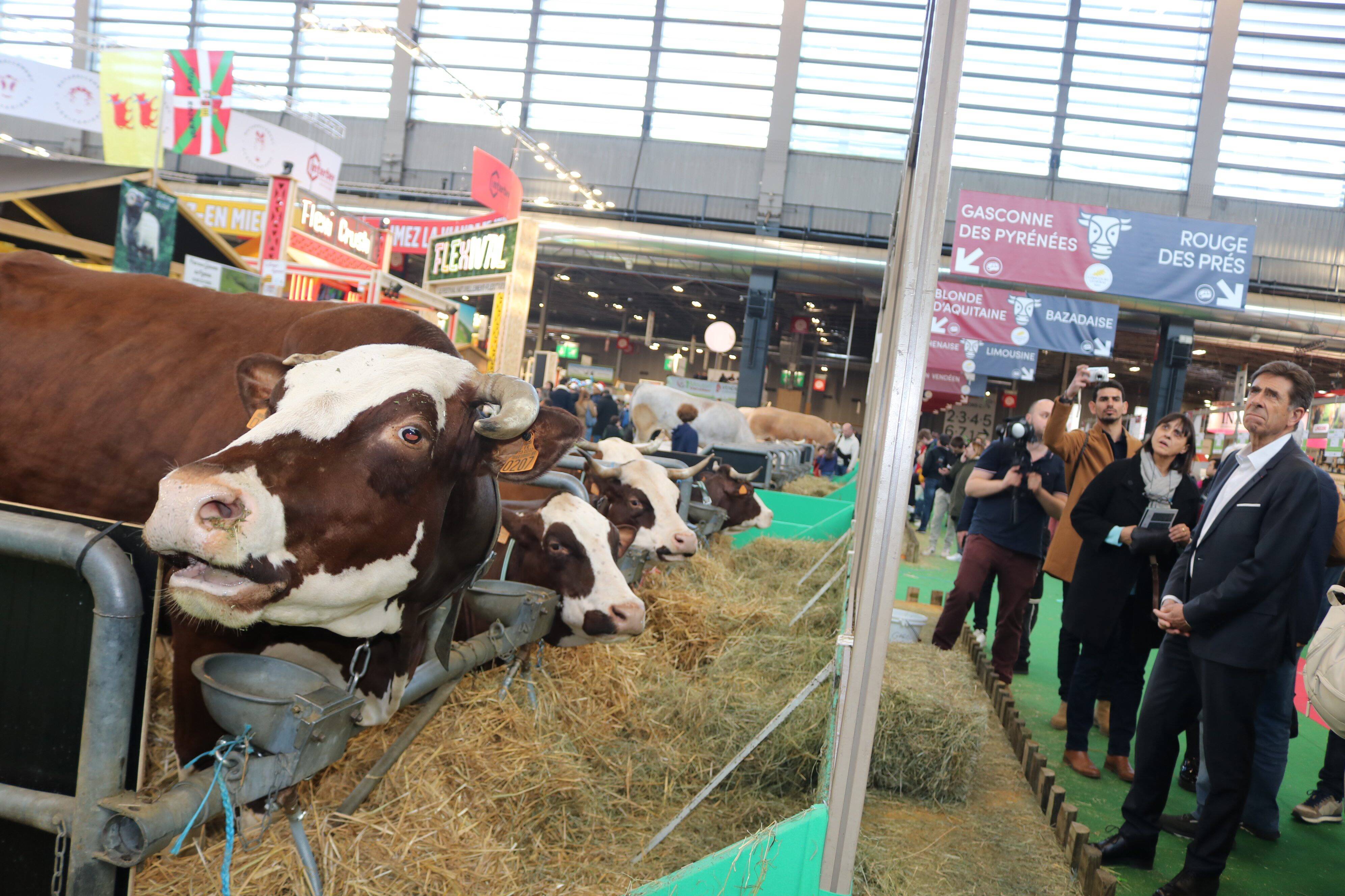 "S'il y a un endroit où il faut être, c'est ici": rencontre avec quatre Azuréens au Salon de l'agriculture