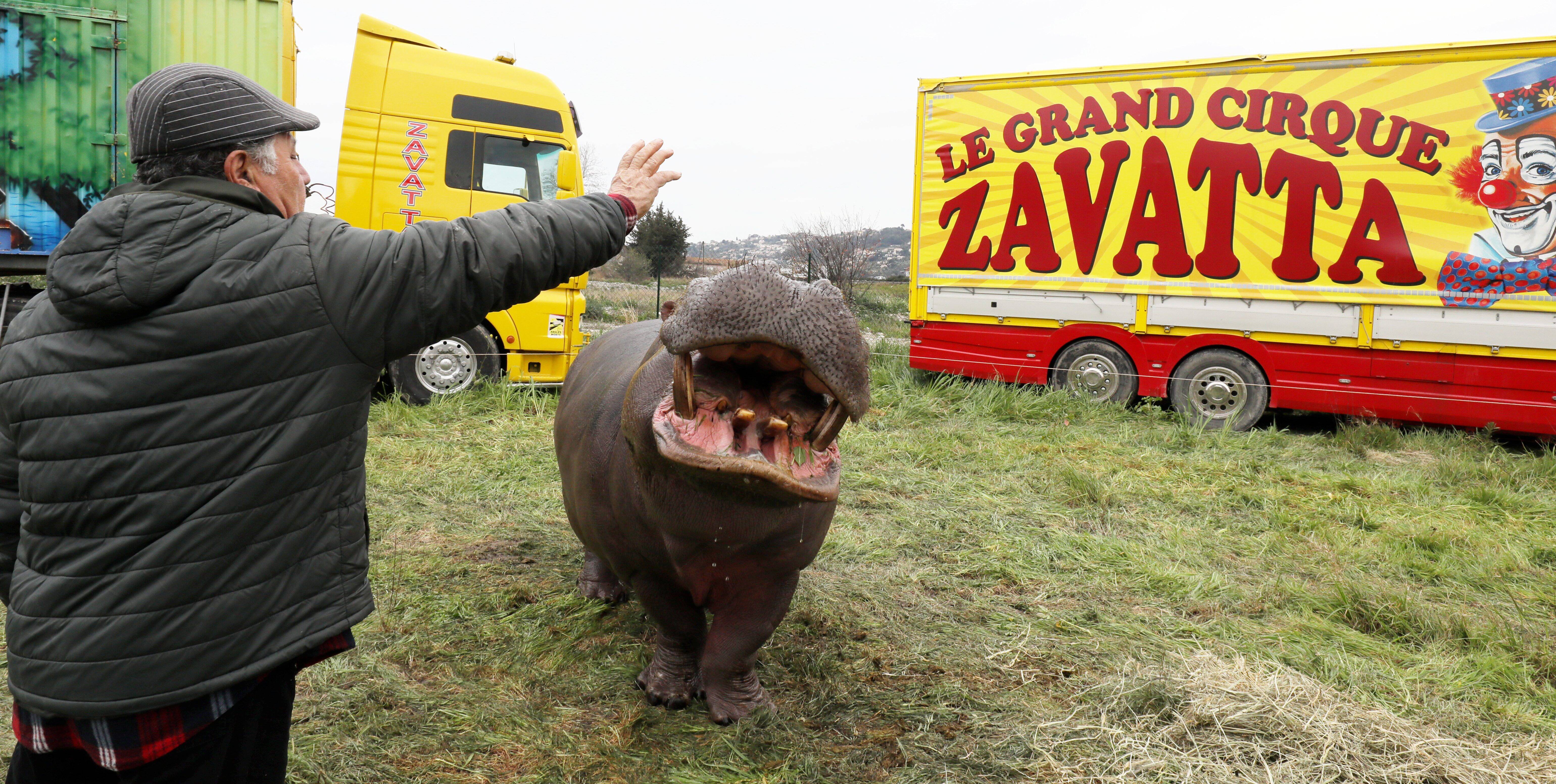 Comment le cirque Zavatta a monté son chapiteau à Nice en plein bras de fer avec la mairie