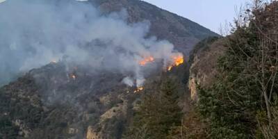 Le feu dans la Tinée est déclaré éteint, près d'un hectare de végétation a brûlé