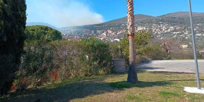 Important incendie à Grasse: au moins 10 hectares brûlés, les Canadair sur place... suivez notre direct