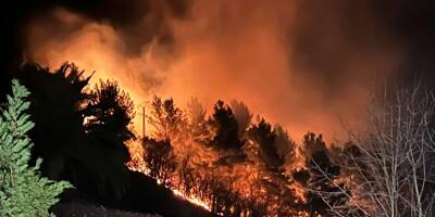 Câbles électriques, écobuages... Quelle est l'origine des feux de forêt en série dans les Alpes-Maritimes?