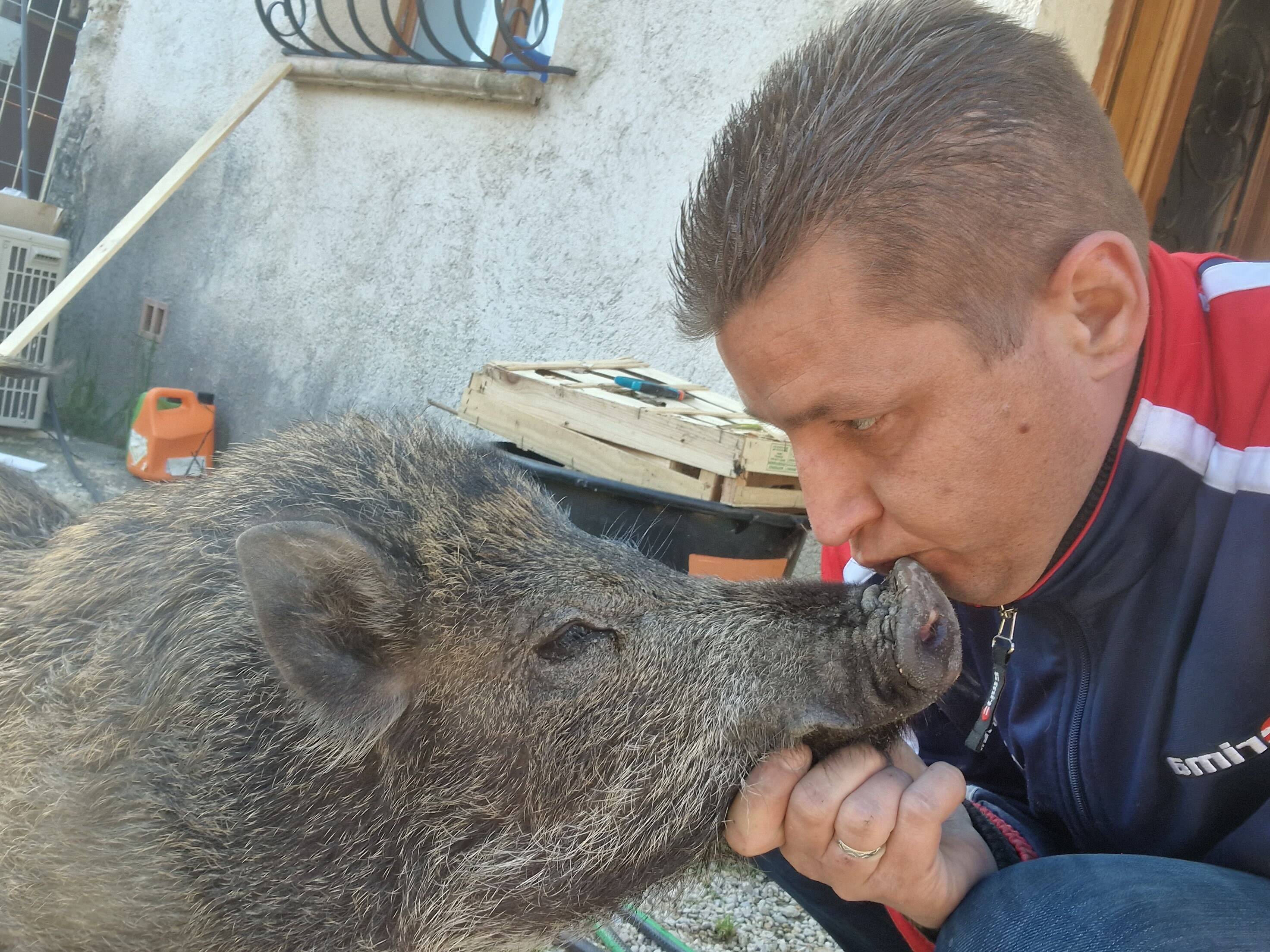 Ému, le fabricant fait don de la statue pour Pumba, le marcassin apprivoisé tué par un riverain à Montauroux