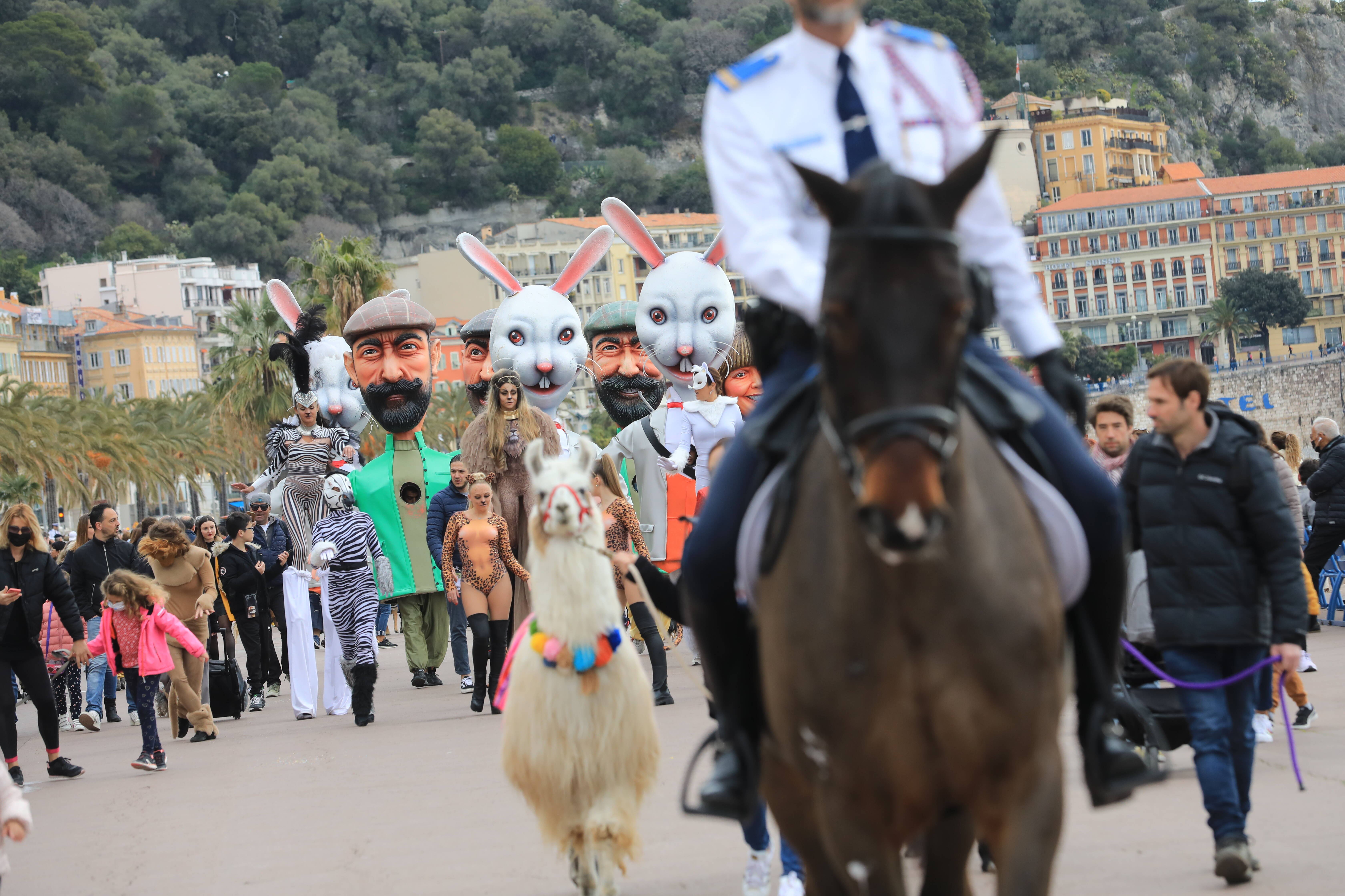 Chiens, ânes, lamas, chevaux... La marche des animaux est de retour à Nice dimanche