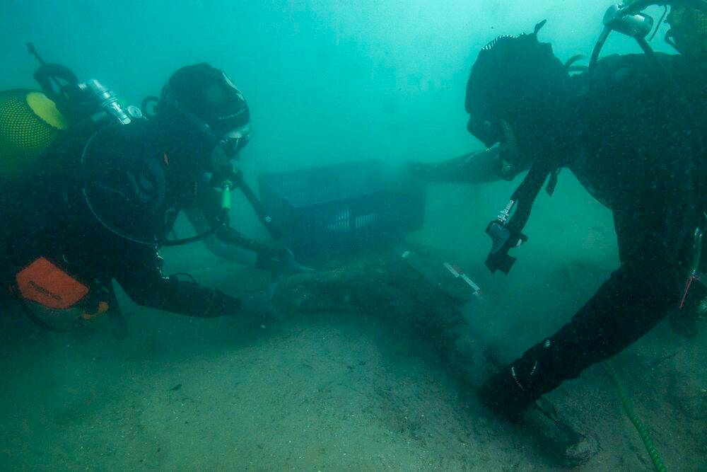 Après les cinq canons découverts en janvier, les archéologues ont fait une nouvelle découverte dans les eaux du port Vauban