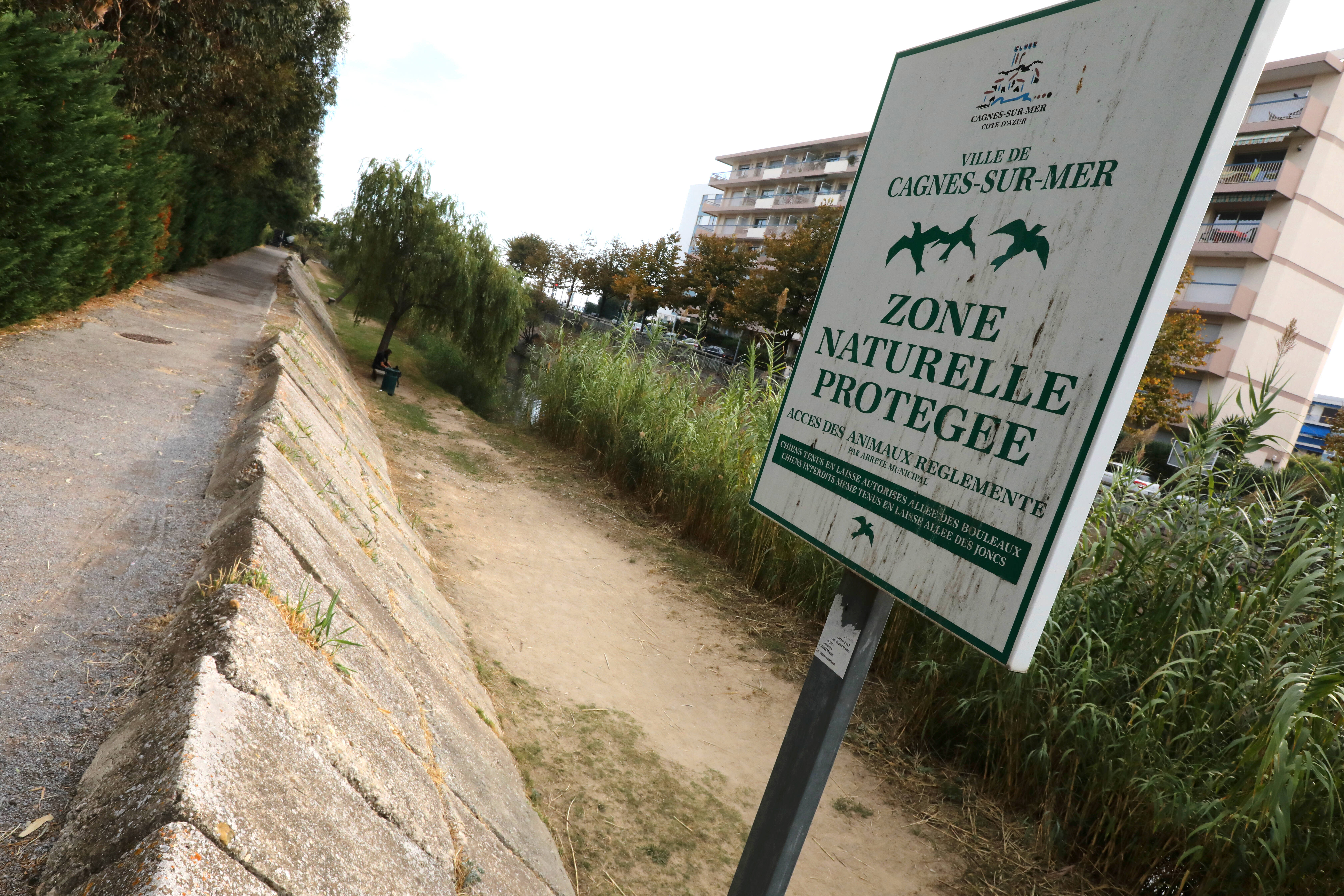 Groupe de travail, sensibilisation, actions sur le terrain... Comment un projet local compte s'organiser pour préserver la Cagne et ses abords