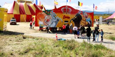 Cirque Zavatta à Antibes: les spectacles continuent malgré l'interdiction, les amendes pleuvent