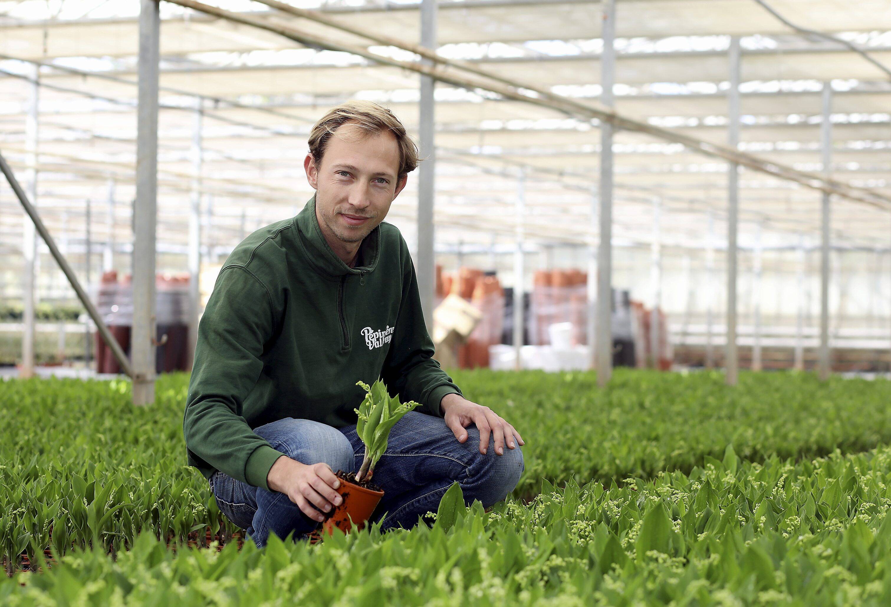 quelques jours du 1er mai les producteurs de muguet sont en