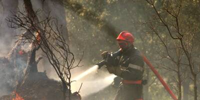 Un poids lourd provoque un feu de végétation aux abords de l'A8 à Vidauban