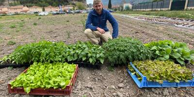 Pommes de terre, oignons, salades, blettes, betteraves... la Métropole de Nice installe un agriculteur dans l'arrière-pays