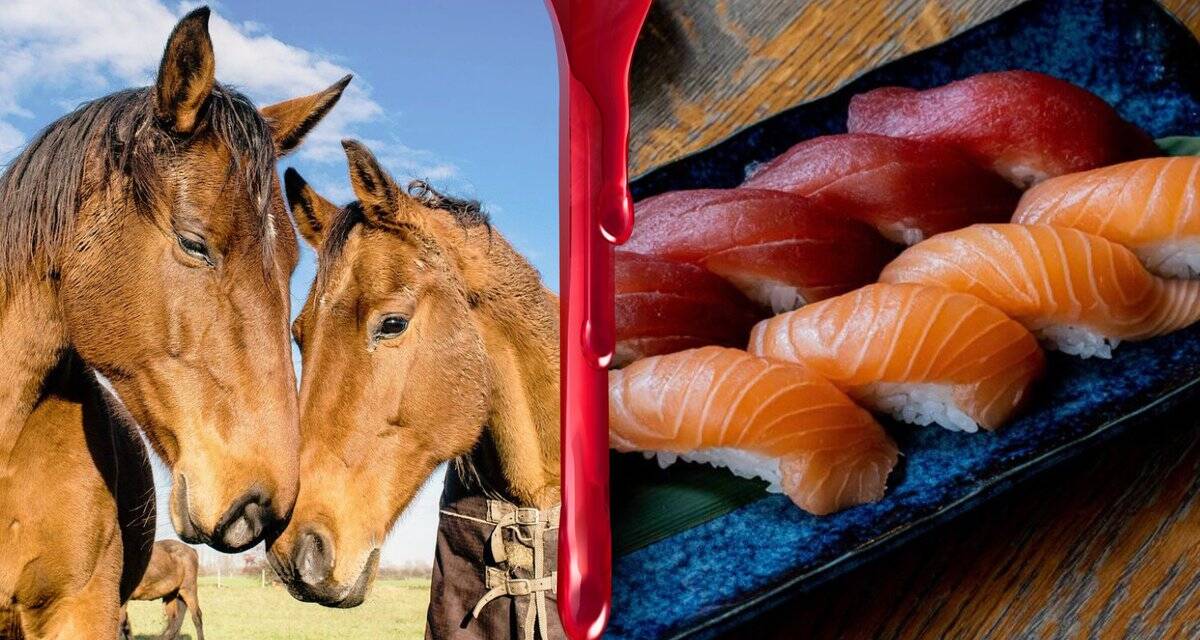 Sushis au cheval français: c'est trop pour Brigitte Bardot, qui interpelle Emmanuel Macron et le ministre de l'Agriculture