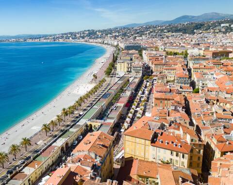 La Ville de Cannes répond à l'association de protection des