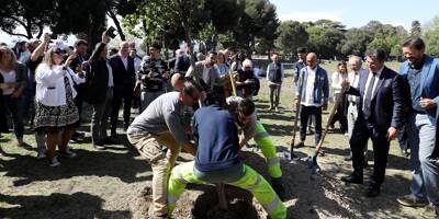 Le maire de Nice veut un arbre par habitant en 2026, les Verts se moquent de lui