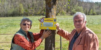 Plus de 350 propriétaires de forêts privées dans le Var se réunissent en association pour favoriser la cohabitation avec les promeneurs