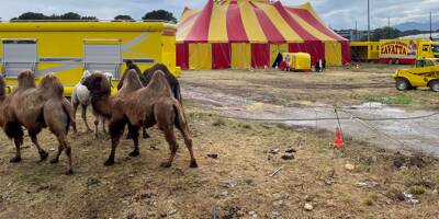 On connaît la prochaine destination du cirque Zavatta après son dernier spectacle ce lundi 1er mai à Antibes