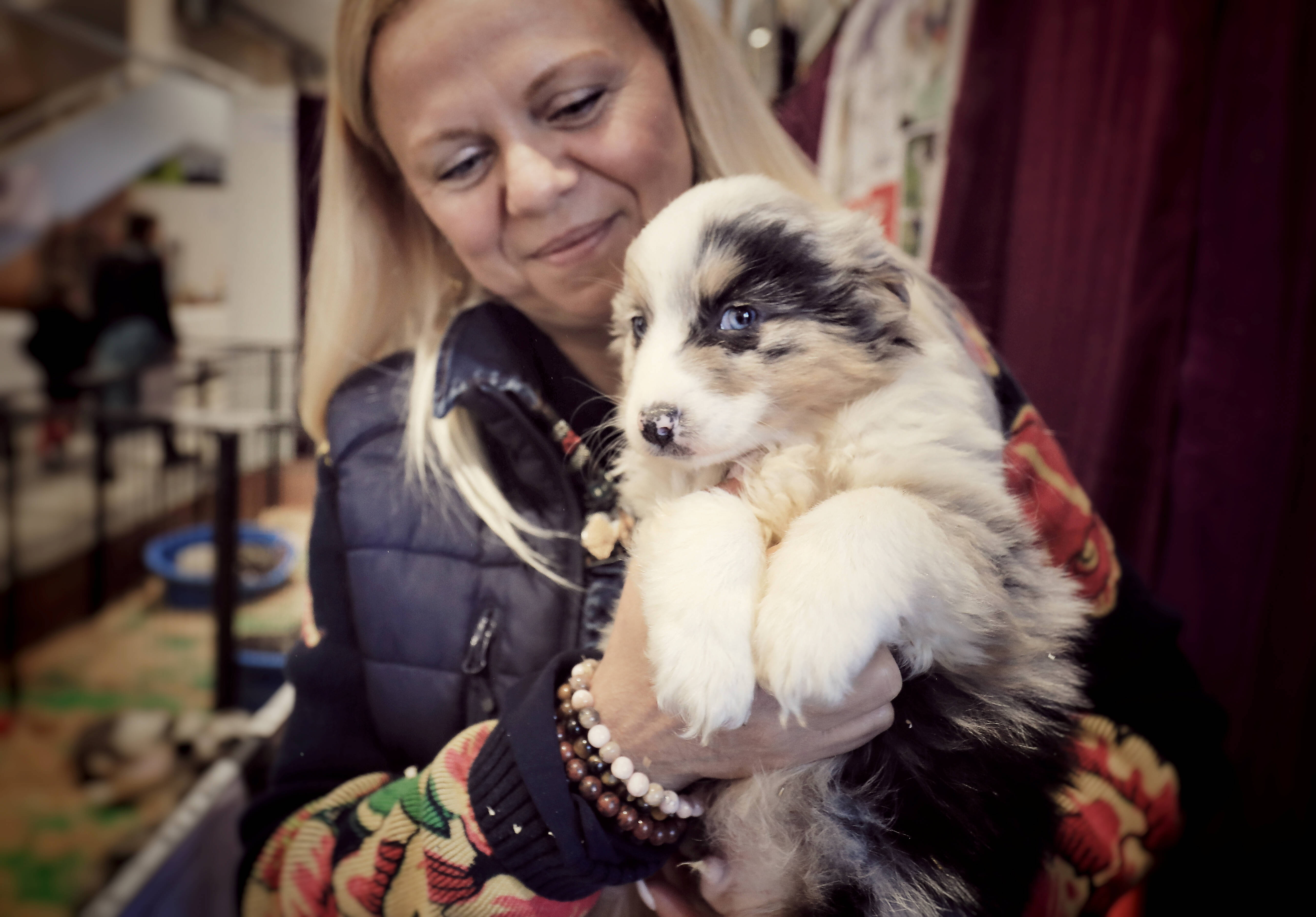 "C'est un salon du chiot déguisé": un élu de Nice dénonce la tenue du salon des animaux et de leur bien-être à Cagnes-sur-Mer