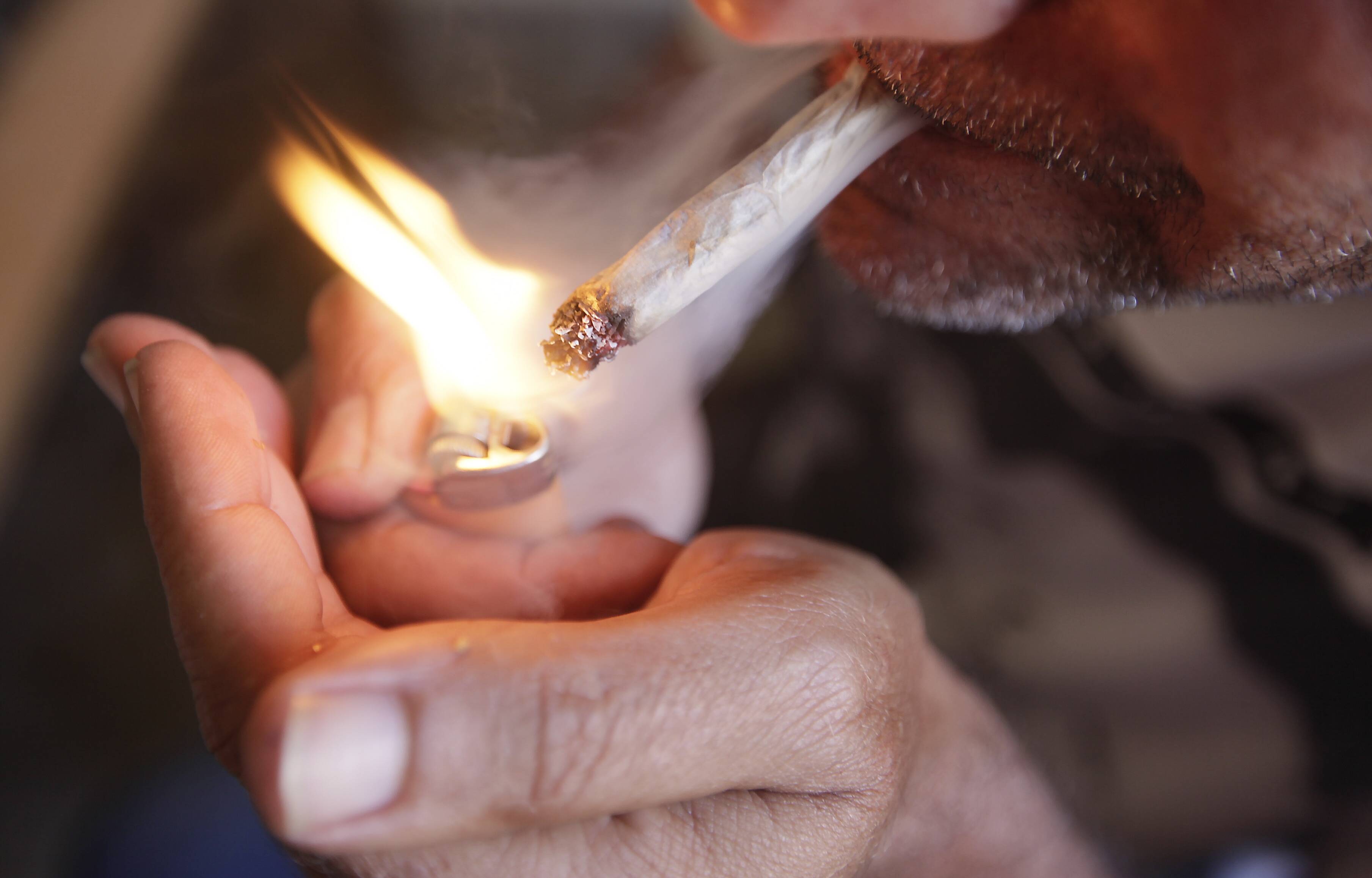 Dix-huit pieds de cannabis saisis dans un appartement à La Seyne