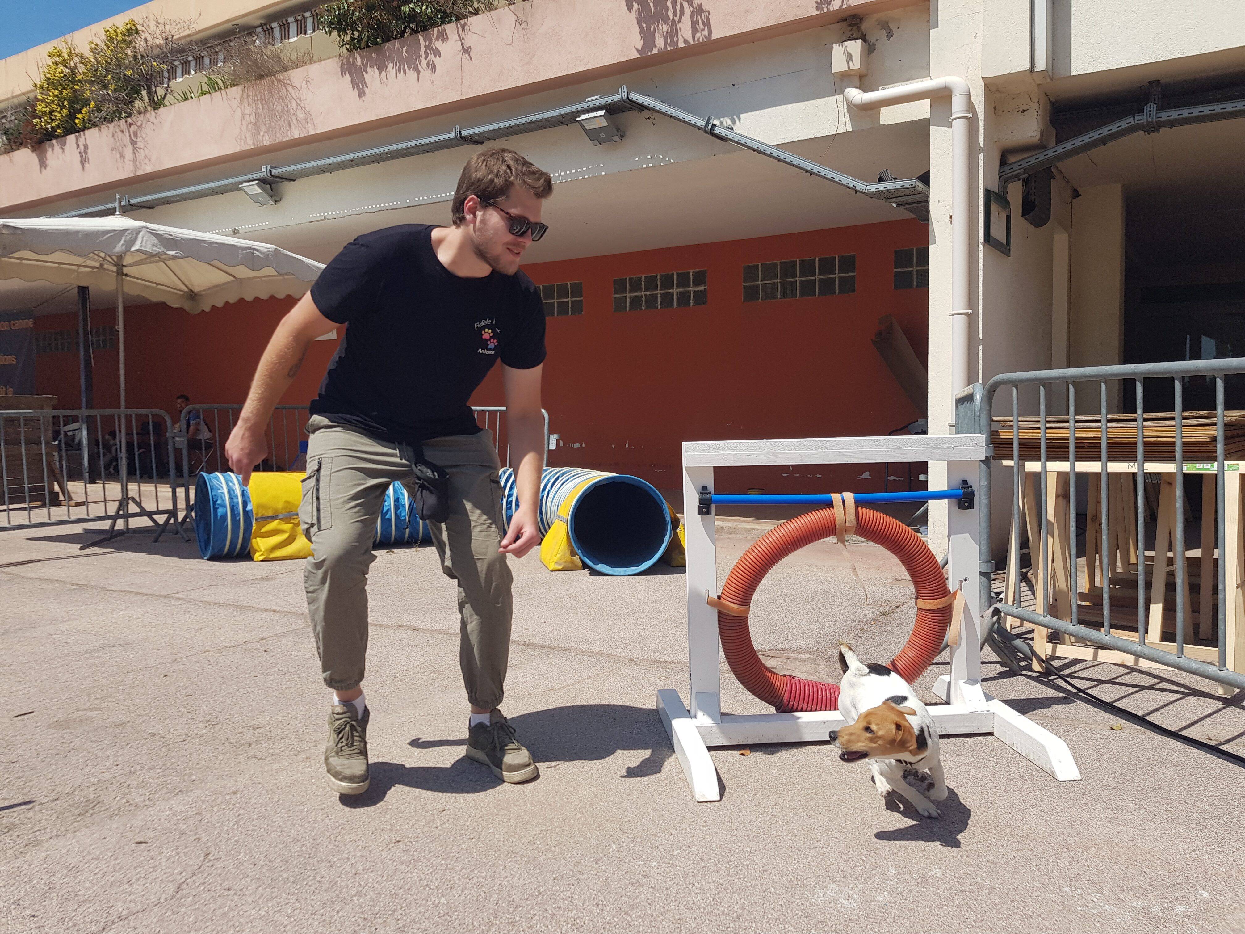 Comment mieux prendre soin de ses bêtes? Les conseils de professionnels du bien-être animalier du salon des animaux de Cagnes