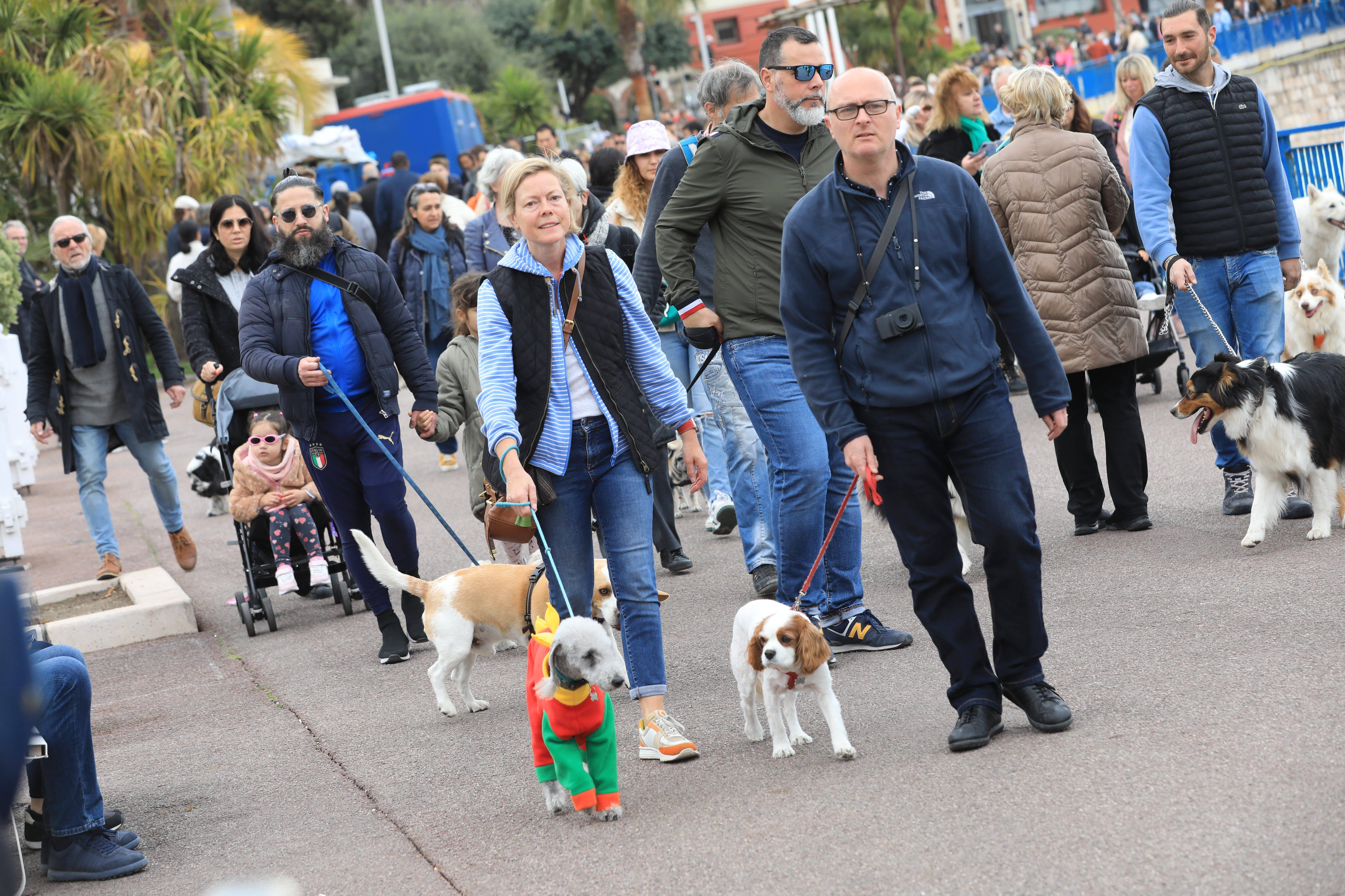 Pourquoi Nice figure parmi les villes de France les plus agréables pour vivre avec son chien