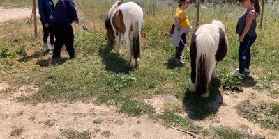 Equi-handi: accompagner le handicap avec les chevaux à Bandol