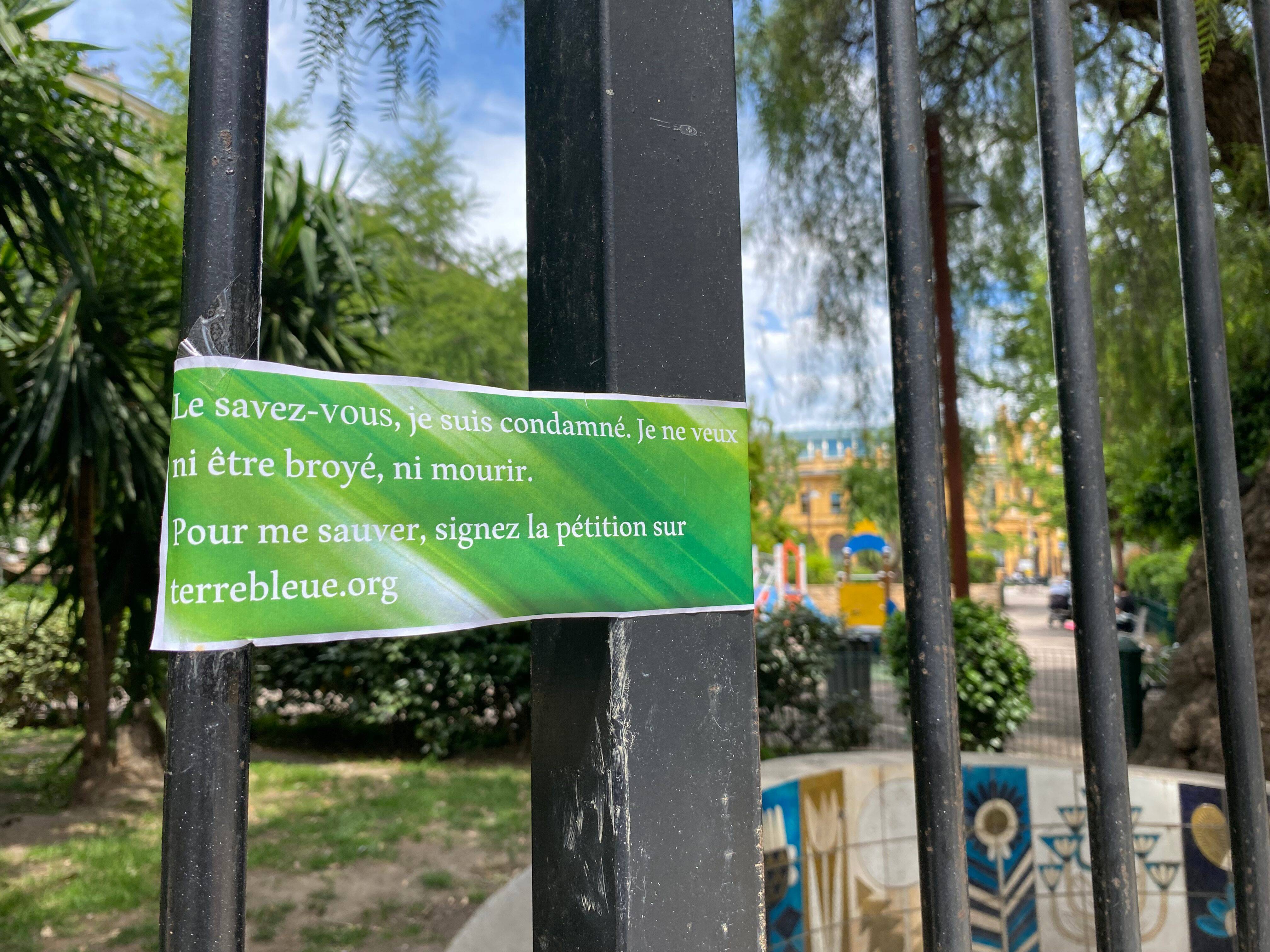 C'est quoi ces petits mots scotchés sur les grilles de la place Wilson à Nice?