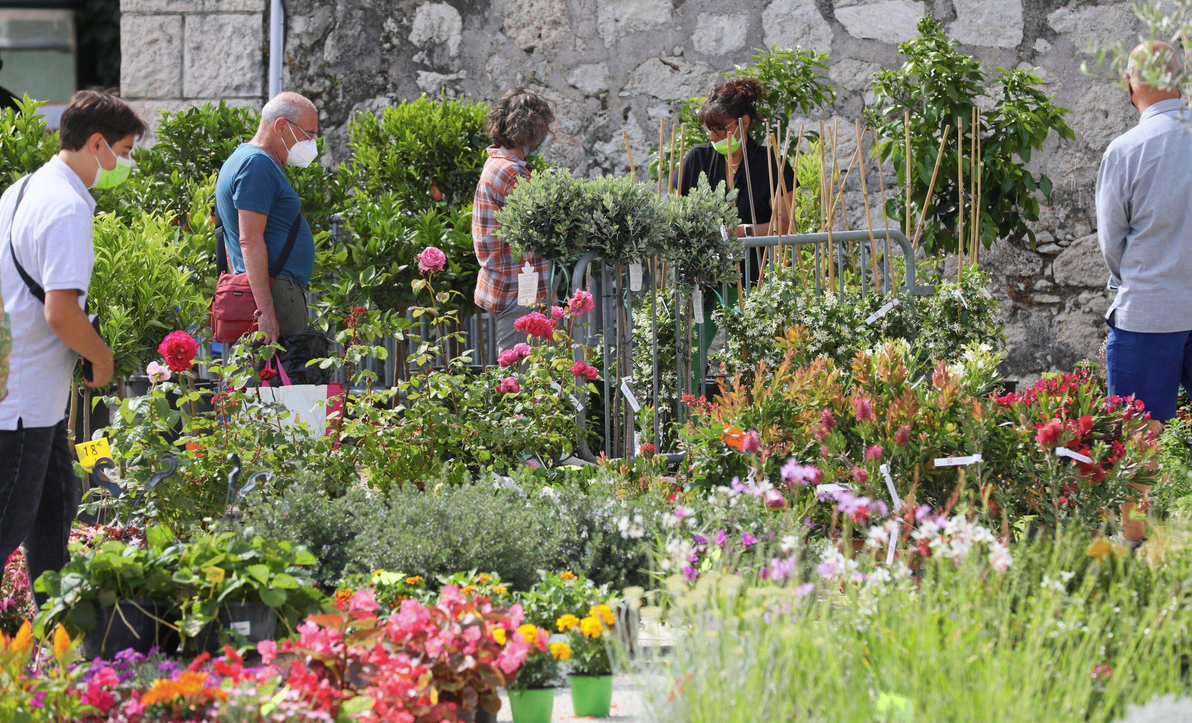 Les 3 bonnes raisons d'aller au salon des plantes à Antibes ce week-end