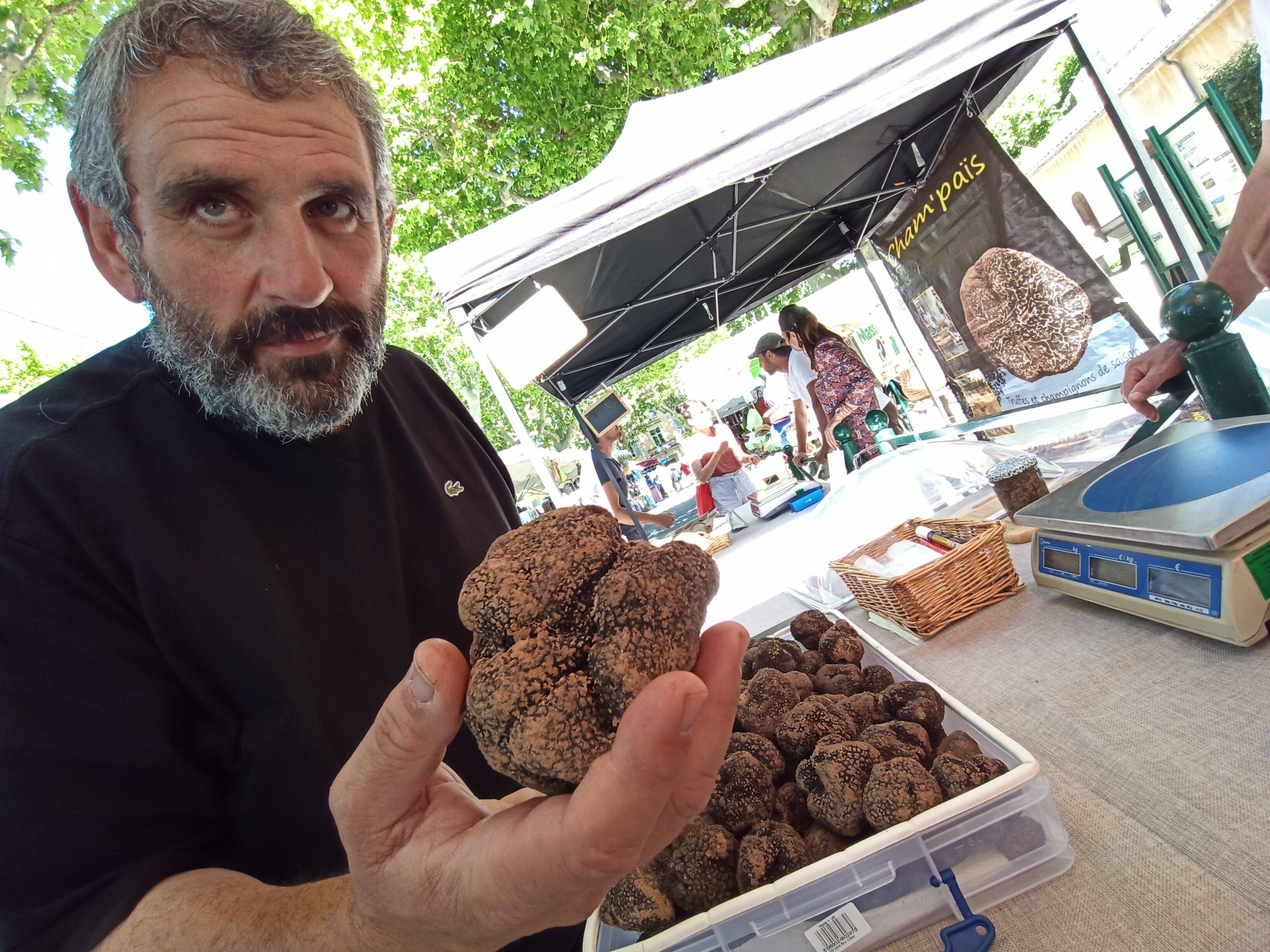 "Grâce à la pluie, les truffes sont grosses et de qualité": le président du syndicat des trufficulteurs varois fait le bilan