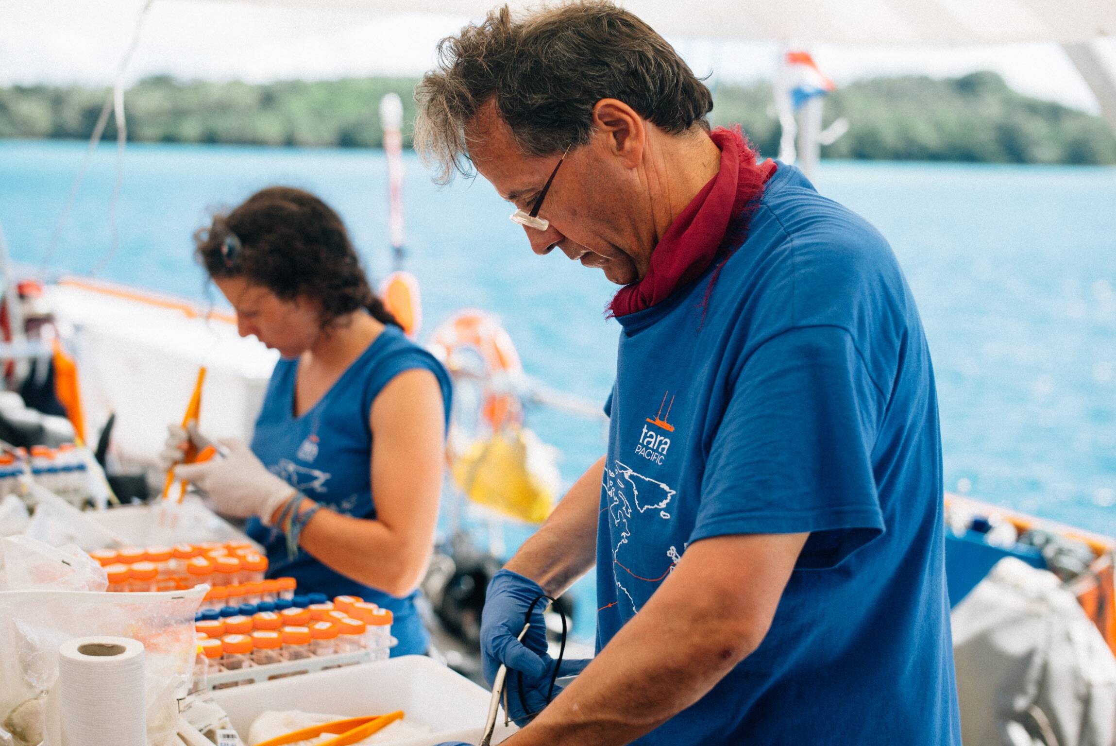 Vieillissement: une affaire de résistance à l'environnement? Le secret réside peut-être dans les coraux