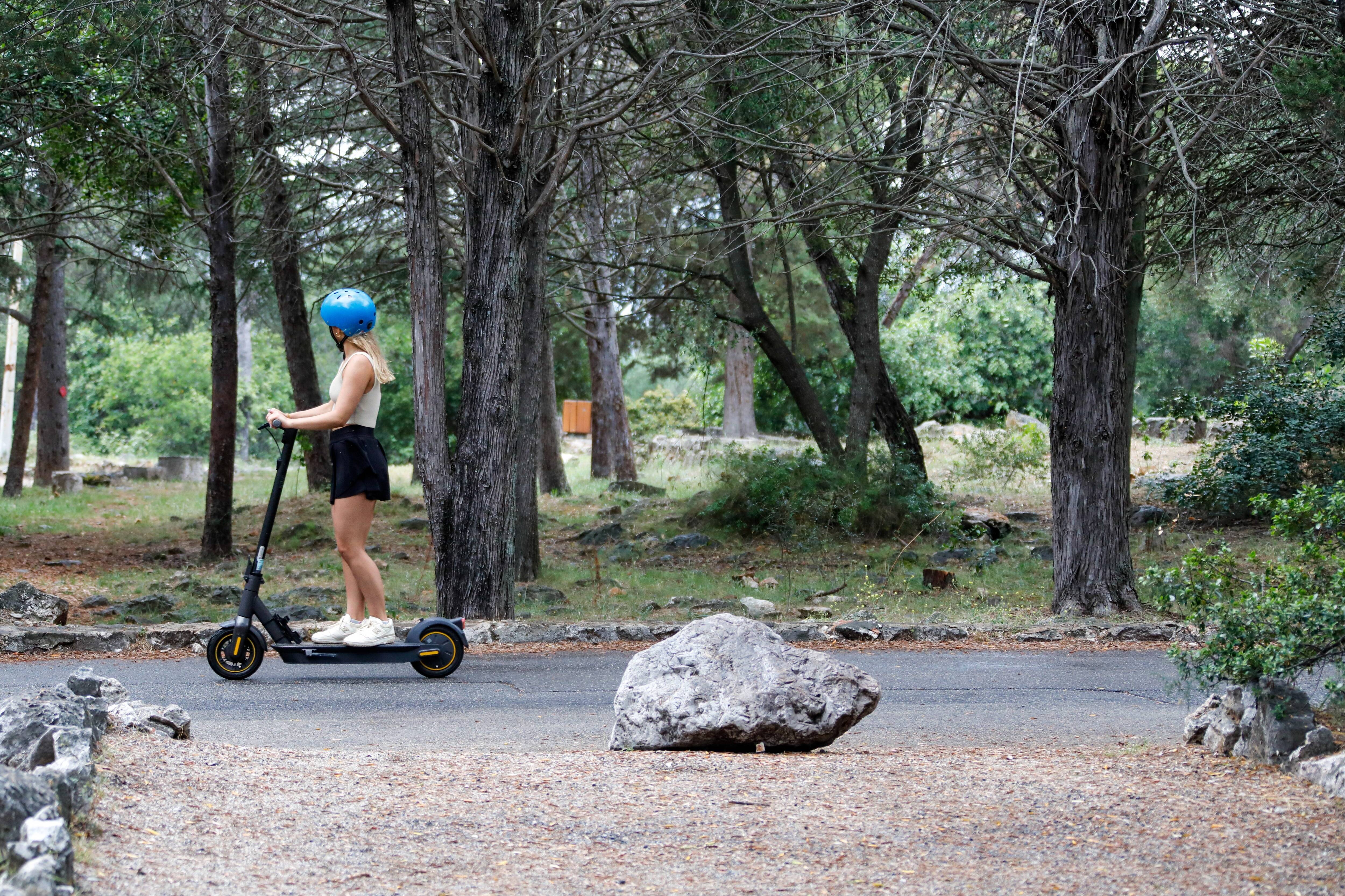 À Nice, la forêt du Mont Boron préoccupe ses riverains, à l'approche de l'été et des risques d'incendies