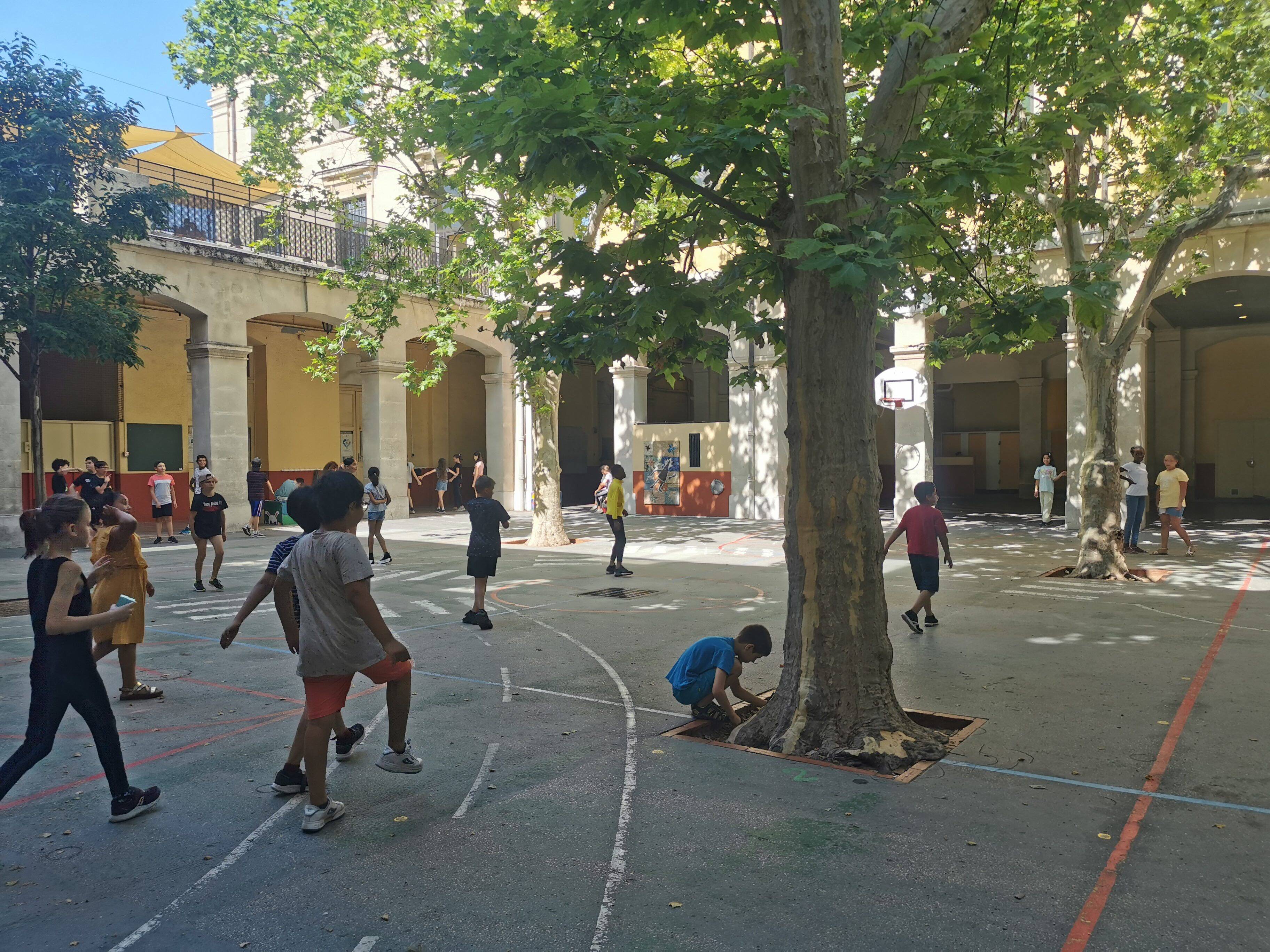 Avec la canicule, les cours d'école toulonnaises passent du minéral au végétal