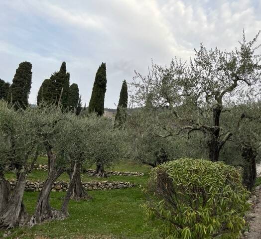 À Cabris, le projet d'implantation d'une antenne 4G dans l'ancienne propriété de l'acteur Jean Marais fait polémique