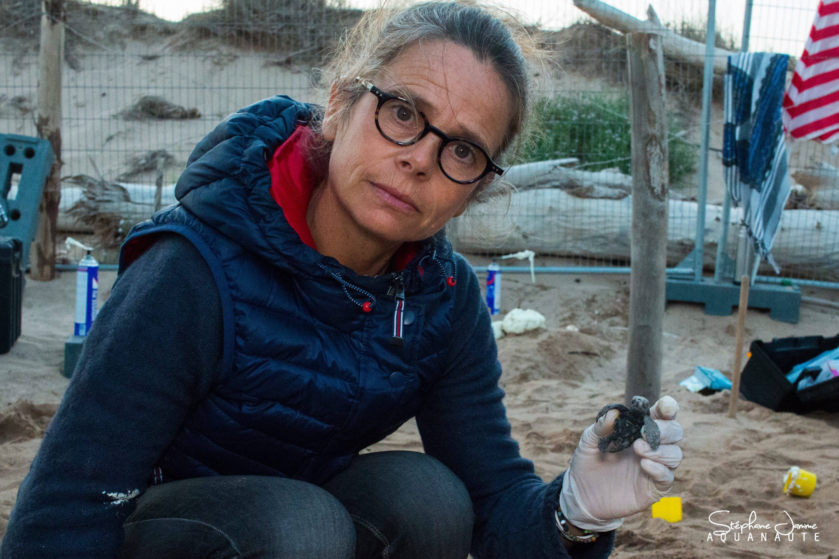 "Un phénomène exceptionnel!": cette spécialiste explique en quoi la ponte d'une tortue à Villeneuve-Loubet est hors-du-commun